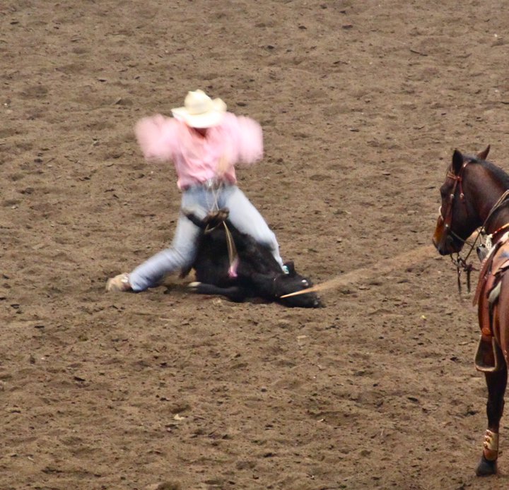 Please do not put any Cow Palace rodeo animals at risk of injury. Just say no to this form of entertainment.